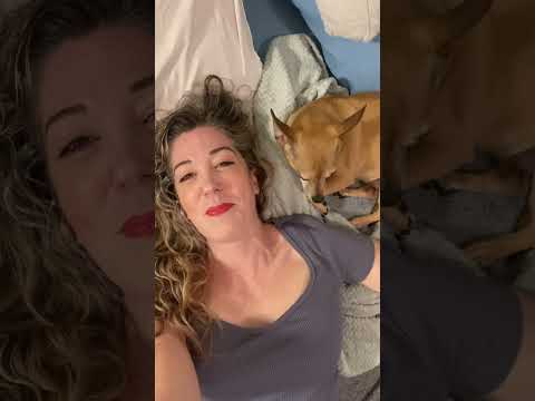 Singing Dog INSISTS he’s Joni Mitchell…😂🤦🏻‍♀️💕