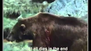 Anthony Phillips - Now What (are they doing to my little friends).avi