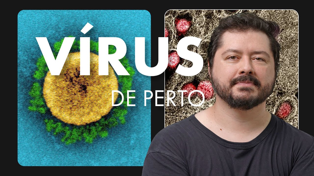 Como podemos ver os vírus se eles são invisíveis?