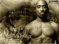 2Pac Toy Soldiers 2008 Remix