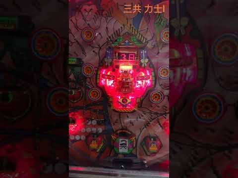 力士Iの動画