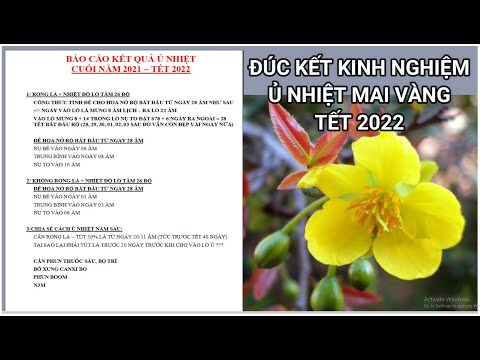 🔴 QBS2183 - REPORT ON THERMAL INFRARING RESULTS AT THE END OF 2021 TET 2022 || SUMMARY OF EXPERIE...