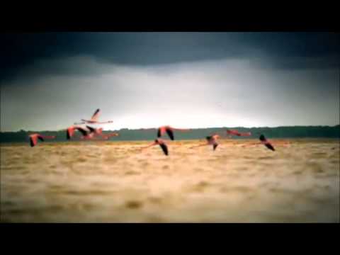 Soulman - Your Love Still Living ( Dj Massymo Tn Chillout Remix) [  Video Edit ]