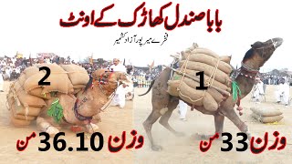 Camel Weightlifting in Pakistan  Akharah Camel wei