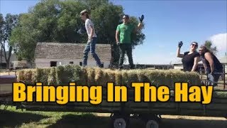 Bringing In The Hay