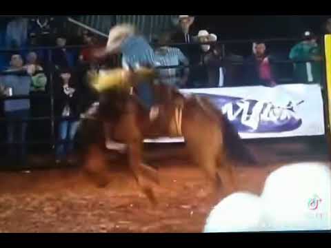 Zeius Cruz Fonseca x Mensageiro - Rodeio de Promissão - SP