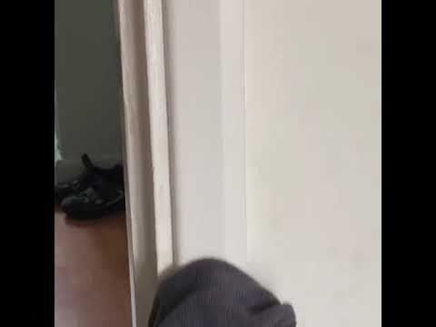 Hygi-Gleam™️ 5 second clean.