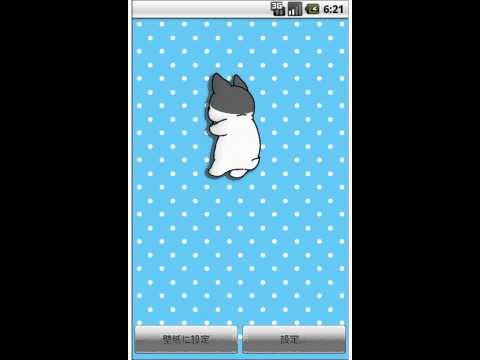 Rolling dog LiveWallpaper04 Video