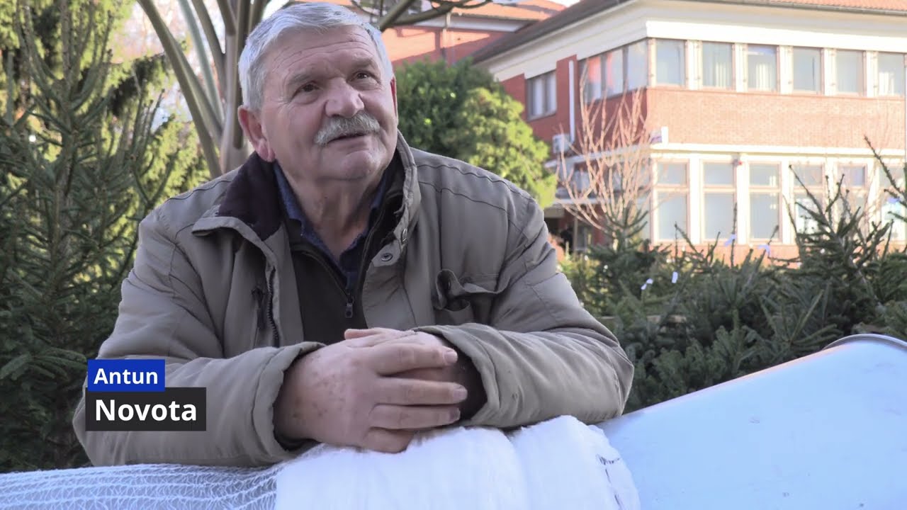 Prodaja božićnih drvca na glavnom gradskom trgu