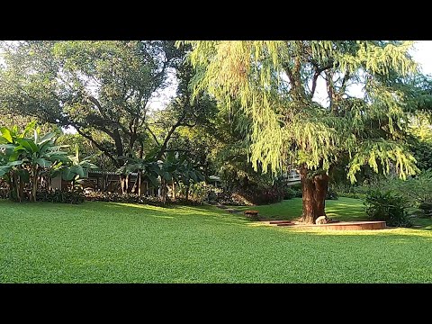 Vale a pena visitar o tradicional jardim chinês próximo ao mercado atacadista de roupas de Guangzhou?