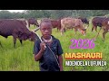 MDENDELA LUFUNZA MASHAURI BY LWENGE STUDIO 2026