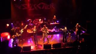 The Selecter 08 Box Fresh (Koko Camden London 27/03/2015)