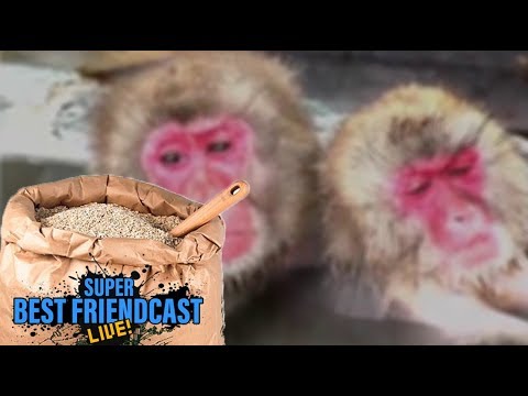 Friendcast 218 is up!: The Apes were Raised in Oat Baths to Please the Horse's Tastes