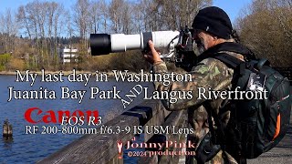 My last day in Washington - Langus Riverfront &Juanita Bay Park- Canon R3,  RF 200-800mm IS USM Lens