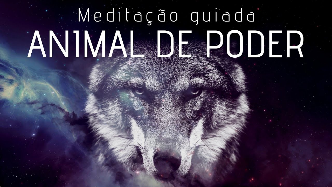 🐺 MEDITAÇÃO GUIADA para encontrar seu ANIMAL DE PODER (música xamânica, flauta indígena)