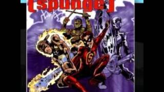 Spunge - DSH