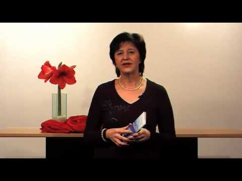 Geniale Verheißungen der Bibel