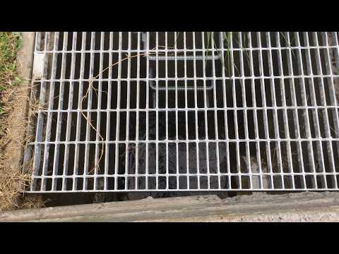 Stormwater detention pit and constructed swales