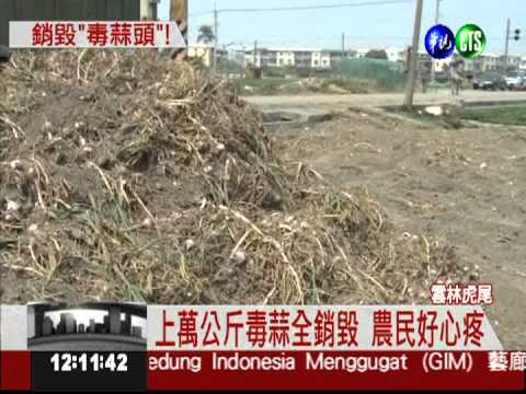 雲林虎尾鎘蒜 銷毀上萬公斤