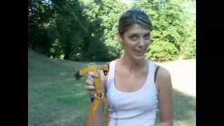 Come far indossare la pettorina al nostro cane | Qua la Zampa