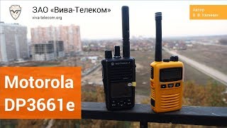 ����� Motorola DP3661E