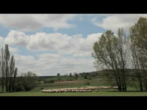 Trailer SINCE THE WORLD WAS WORLD