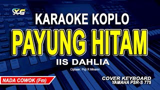 Download lagu Payung Hitam - Iis Dahlia ||  Karaoke Koplo || Nada Rendah Cowok / Pria mp3