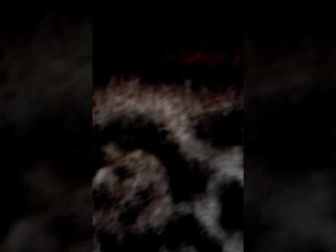 Cats and Metal(Venom-Buried Alive)