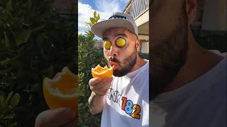 Download lagu Mind-Blowing Gadgets and Tools Revealed! 🚀 #shorts #gadgets part 3116 #aitutorials #tooltips mp3