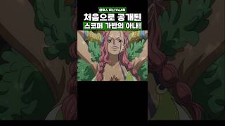 최신화) 처음으로 공개된 스코퍼 가반의 아내! #onepiece #원피스
