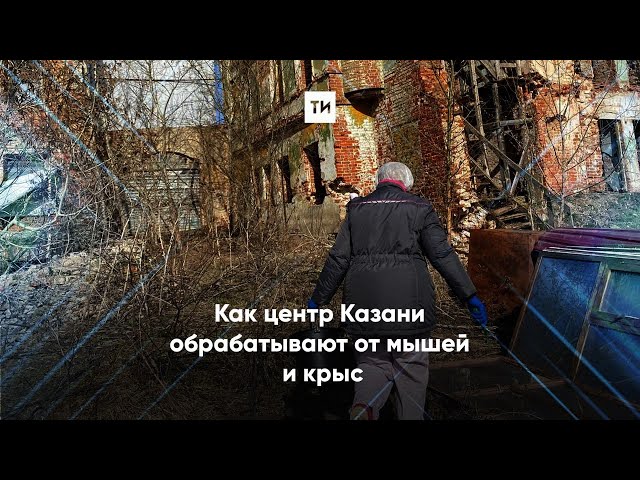 Как центр Казани обрабатывают от мышей и крыс