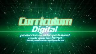 curriculum vitae digital