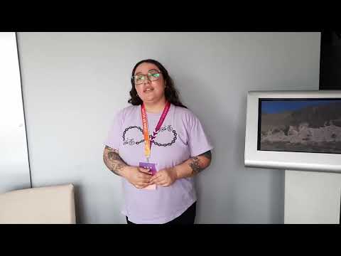 Usina de Ullum, ingreso