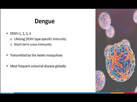 June 24, 2021 ACIP Meeting - Welcome & Dengue Vaccine
