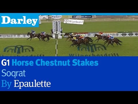 Soqrat by Epaulette wins the G1 Horse Chestnut Stakes at Turffontein