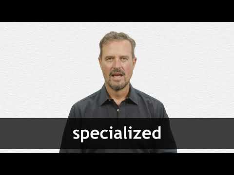 specialized deals