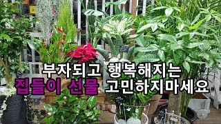 부자되고 행복해지는 집들이 선물 고민되시죠? 알려드릴게요
