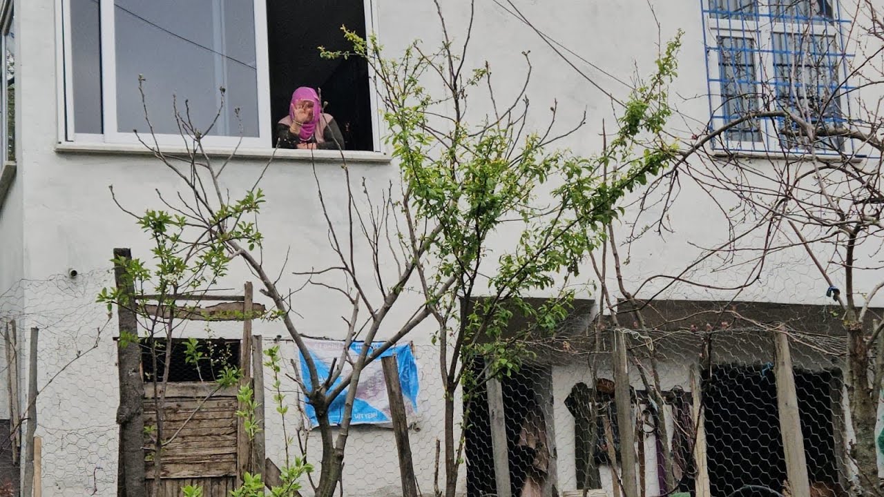 ‼️NEDENİNİ  BİLMİYORUM BİZE SALDIRIYOR ‼️ ŞÜKRÜ USTANIN ELLERİNE SAĞLIK KULUÇKAYA TAVUK YATIRDI‼️