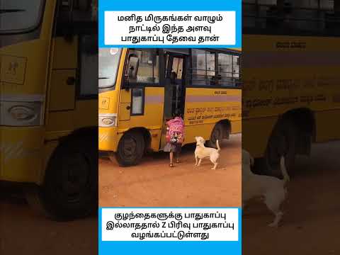 குழந்தைகள் முதல் பெரியவர்கள் வரை அனைவருக்கும் பாதுகாவலன் #shorts