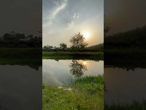 #beautiful#nature#trending#song#maa#tarini#reels#shorts#viral#video#