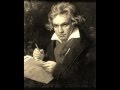 Ludwig Van Beethoven-Allegro molto vivace