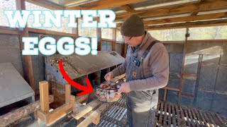 How We Keep Chickens Laying Eggs Through the Winter