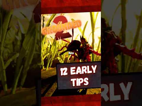 12 Essential Tips for Grounded 2 Beginners