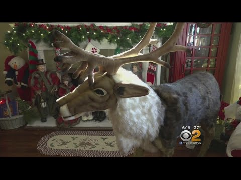 Christmas Spectacular Inside Long Island Home