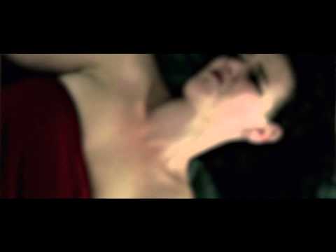 The ANTI-D's - Thrill of Curiosity