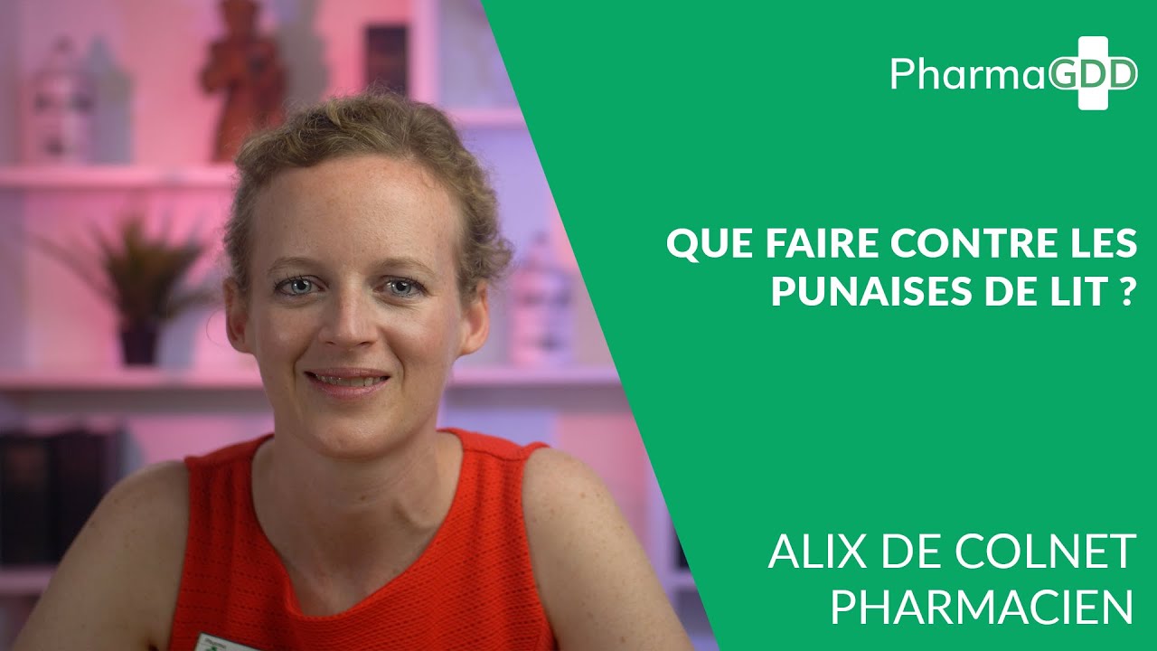 Que faire contre les punaises de lit 