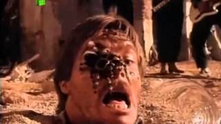 Reach     Martini Ranch  12 Inches