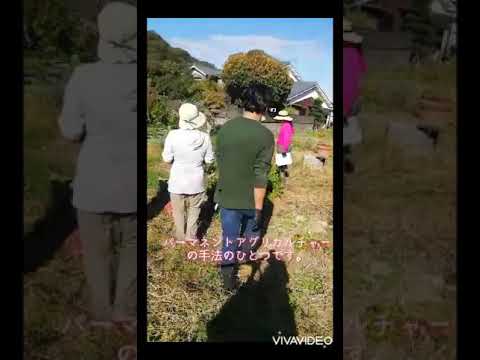 aménagement-jardin-spirale-aromatique-construire-briques