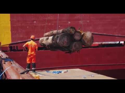 Forest Exploitation De Clercq-Bourdeaud'hui