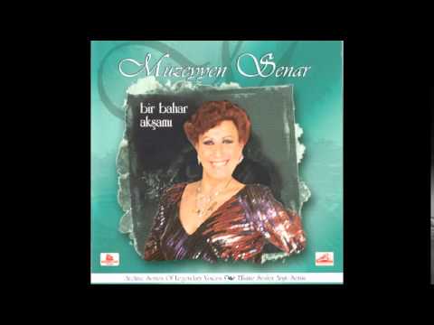 Video Yükleniyor...